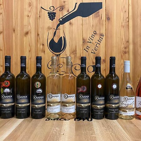 Vinarstvi & Penzion Knapek Strachotin Ξενοδοχείο Εξωτερικό φωτογραφία